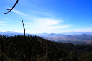 El fin de semana, la Reserva de la Biosfera Mariposa Monarca, ubicada en la sierra de Michoacán, recibió la llegada de miles de mariposas monarcas, un fenómeno que cada año anuncia el inicio de la temporada invernal en México.