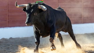 Mujer es embestida por un toro en fiesta patronal en España