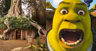 Airbnb pone en renta la 'casa de Shrek' 