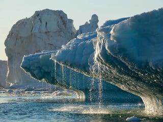 Reaparecen microorganismos con deshielo de glaciares 