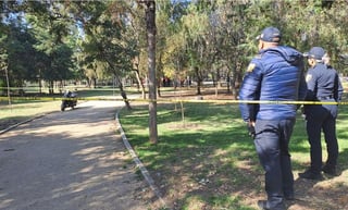 Hallan cuerpo sin vida en juegos infantiles del Bosque de Chapultepec en la CDMX