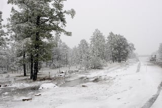 Nevó en varias comunidades de la sierra de Durango