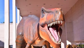 Museo Bebeleche prepara nuevas exposiciones; 30 mil han visitado la de dinosaurios