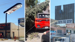 Espectaculares y hasta un árbol, se llevó el fuerte viento esta tarde en Durango capital