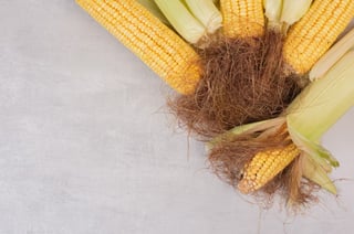 Cuáles son las propiedades curativas del agua de pelo de elote