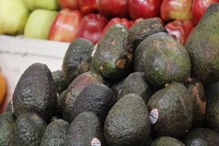 Aguacate, en más de 100 pesos el kilogramo