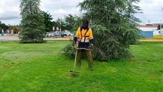 Se recuperan áreas verdes con lluvias recientes en Durango