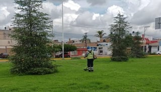 Áreas verdes se recuperan con lluvias en Durango capital