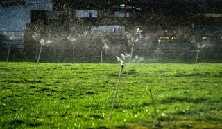 Con drones, fumigarán plagas en zonas frijoleras 