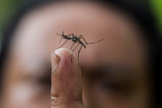 Durango reporta dos decesos por dengue; hay 145 casos registrados