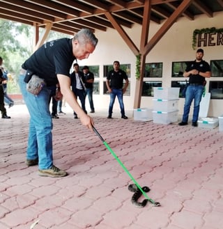 No hay peligro por serpientes, afirma Policía Ambiental