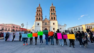 En Durango, marcharon en contra del maltrato animal