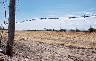 Por falta de agua, hay un impacto negativo en la agricultura de Durango capital