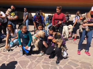 Invitan a Caminata Valientes con mascotas 