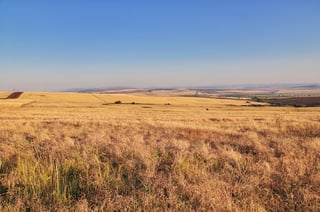 Falta de lluvia afectó agricultura y ganadería en Simón Bolívar y El Oro