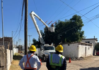 Van 270 diablitos detectados en operativos de la CFE en Durango