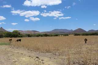 En Durango, octubre tuvo un déficit del 95% de agua de lluvia 