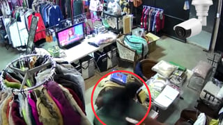 Mujer roba una cartera en una tienda en El Refugio; ofrecen gratificación por dar con ella | VIDEO