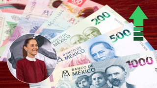 Aprueban incremento del 12% al salario mínimo en 2025