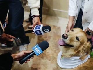 Regidores de Durango aprueban Patronato para el Centro de Atención Animal