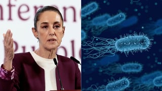 Klebsiella oxytoca: Habrá sanción tras muerte de niños infectados por bacteria, asegura Sheinbaum