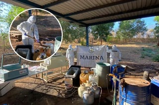 Violencia Sinaloa: Marina neutraliza laboratorio clandestino para elaboración de drogas sintéticas