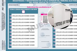 Elección de Jueces: INE aprobó el proyecto de los modelos de boletas;  Oposición tunde diseño