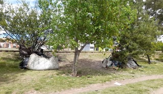 Limpian Parque Lineal por acumulación de basura y muebles viejos