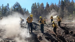 En Durango se espera un 2025 con altas temperaturas y sequía: SRNyMA