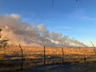 Durante diciembre, fueron sofocados 33 incendios de zacatales en Durango capital