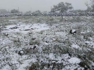 Unión Ganadera asegura que las nevadas son muy necesarias para el campo