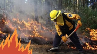 Durango cerró el año 2024 con 364 incendios forestales