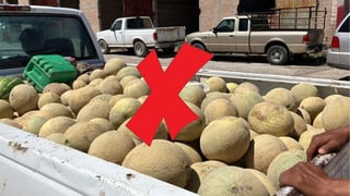 Habrá una menor siembra de melón, advierte alcalde de Mapimí