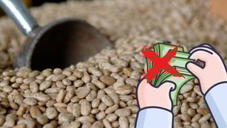 Segalmex incumple en pagos a productores de frijol en Durango