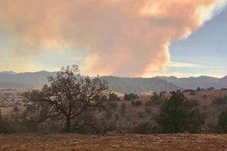 Incendio forestal activo en Ocampo suma 35 hectáreas afectadas
