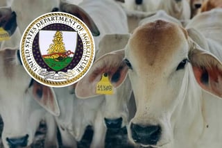 EU amaga con restringir importaciones de ganado mexicano