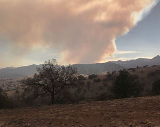 Fuerte incendio forestal en Ocampo alertó a la población 