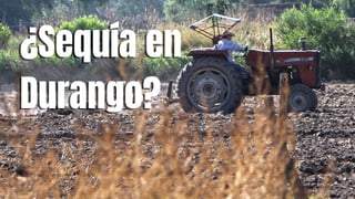 Mapa de la sequía en México: ¿Cómo va la afectación en Durango? 
