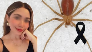 Araña violinista picó a joven mujer; víctima murió hora y media después del ataque