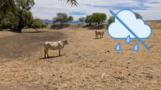 Persiste déficit de lluvia en Durango; abril cerró sin precipitaciones