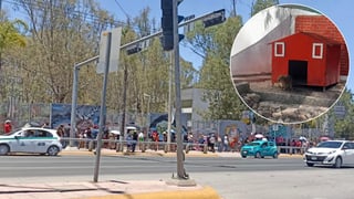 Sorprenden visitantes al Zoológico Sahuatoba; mayoría quiere conocer al nuevo capibara