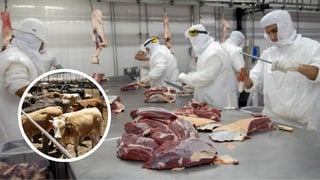 Durango, entre los principales productores de carne en México