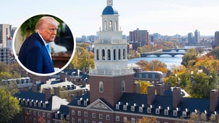 Trump prohíbe a Harvard inscribir estudiantes extranjeros; pide deportar a los ya inscritos