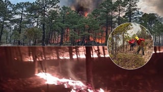 Incendio activo en Tepehuanes, uno de los más grandes registrados en Durango