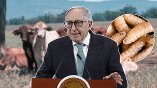 Gusano barrenador: México confirma seis casos de miasis en humanos