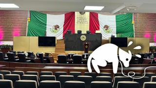 Analizarán en Durango endurecer penas y ampliar delitos por maltrato animal