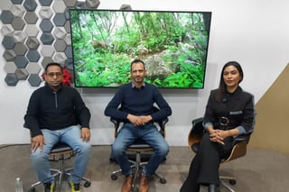 Avistamiento de jaguar en Durango podría activar monitoreo nacional, señalan investigadores