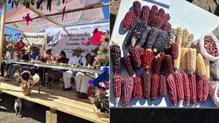Presentan Feria de la Semilla Nativa en la sierra de Durango