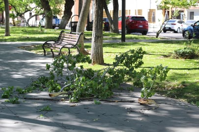 Se esperan vientos fuertes y mañanas frías en Durango