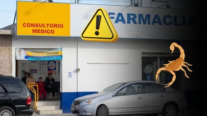 Muere adolescente tras sufrir picadura de alacrán en El Salto, Pueblo Nuevo